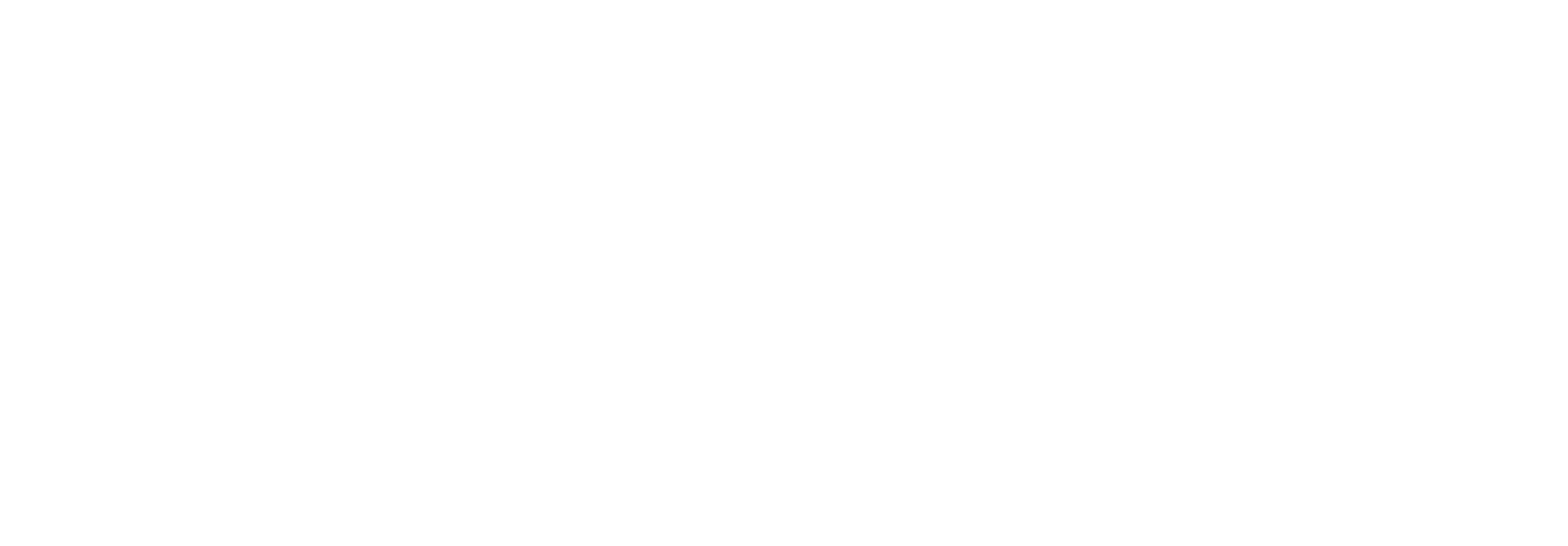 Boston Common Coffee logo