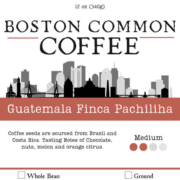 Guatemala Finca Pachilaha